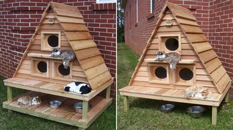 how to build an outdoor cat house: Exploring Creative Designs and Essential Features for Feline Comfort